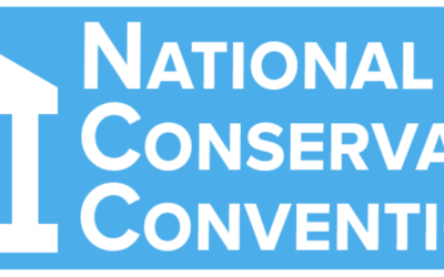 What is the National Conservative Convention?